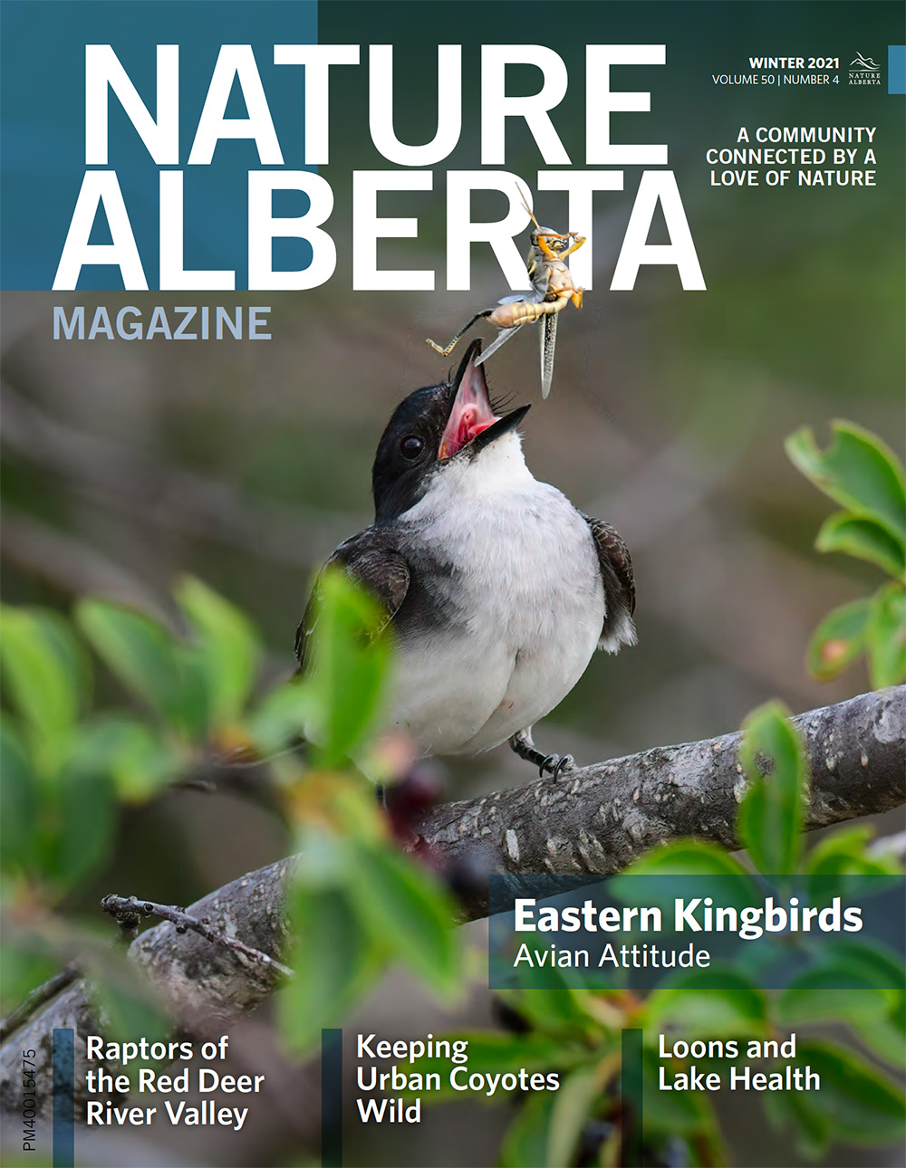 Nature Alberta Magazine, Winter 2021 Cover