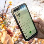 Using iNaturalist on a smartphone to identify a plant
