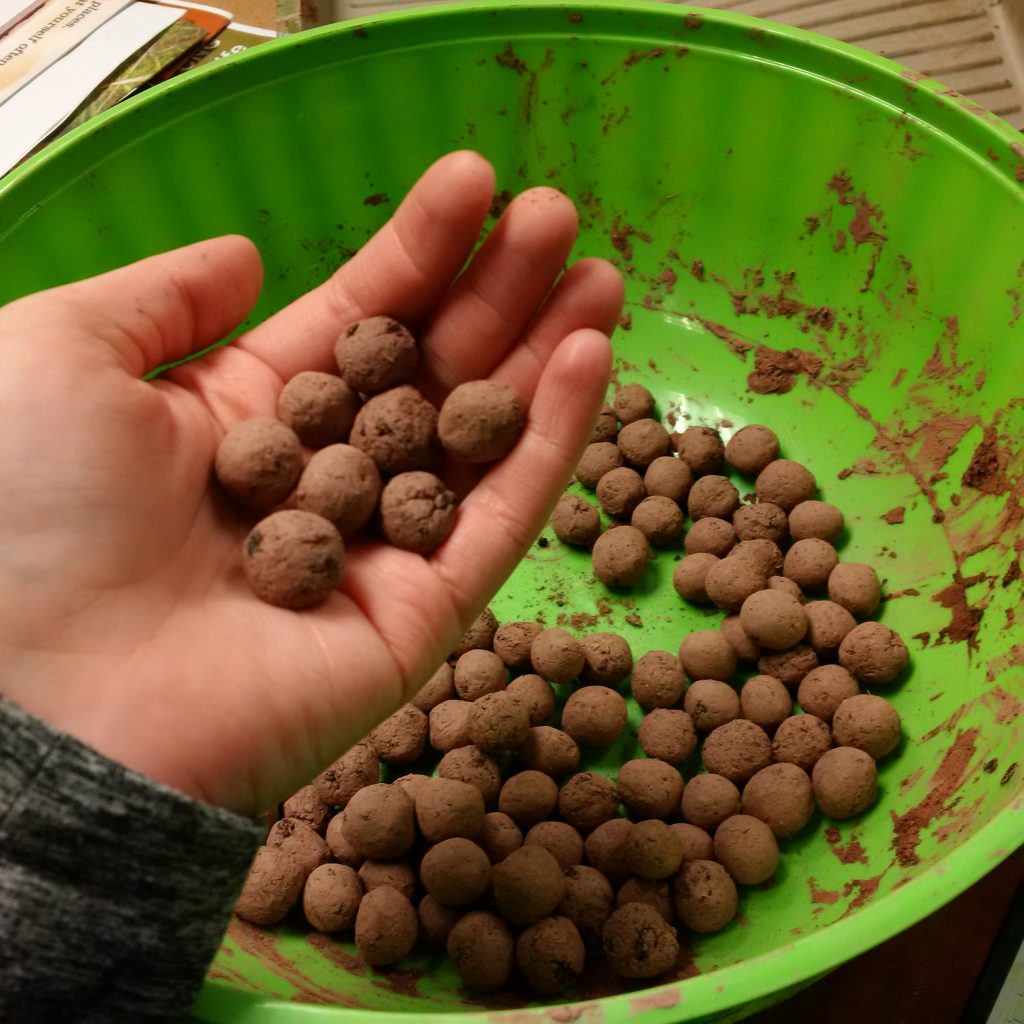 Handful of seed bombs (Photo NCC)