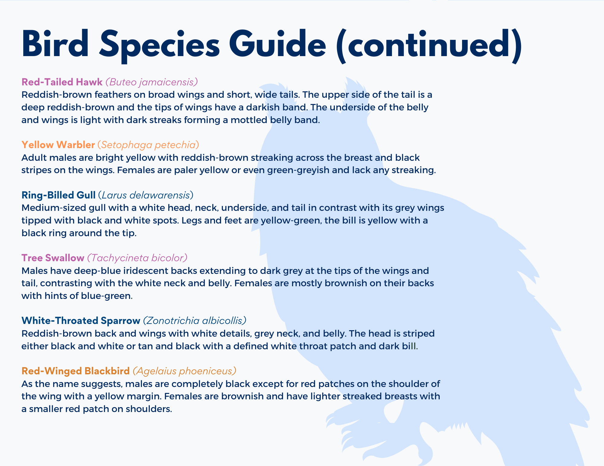 Species Guide 3