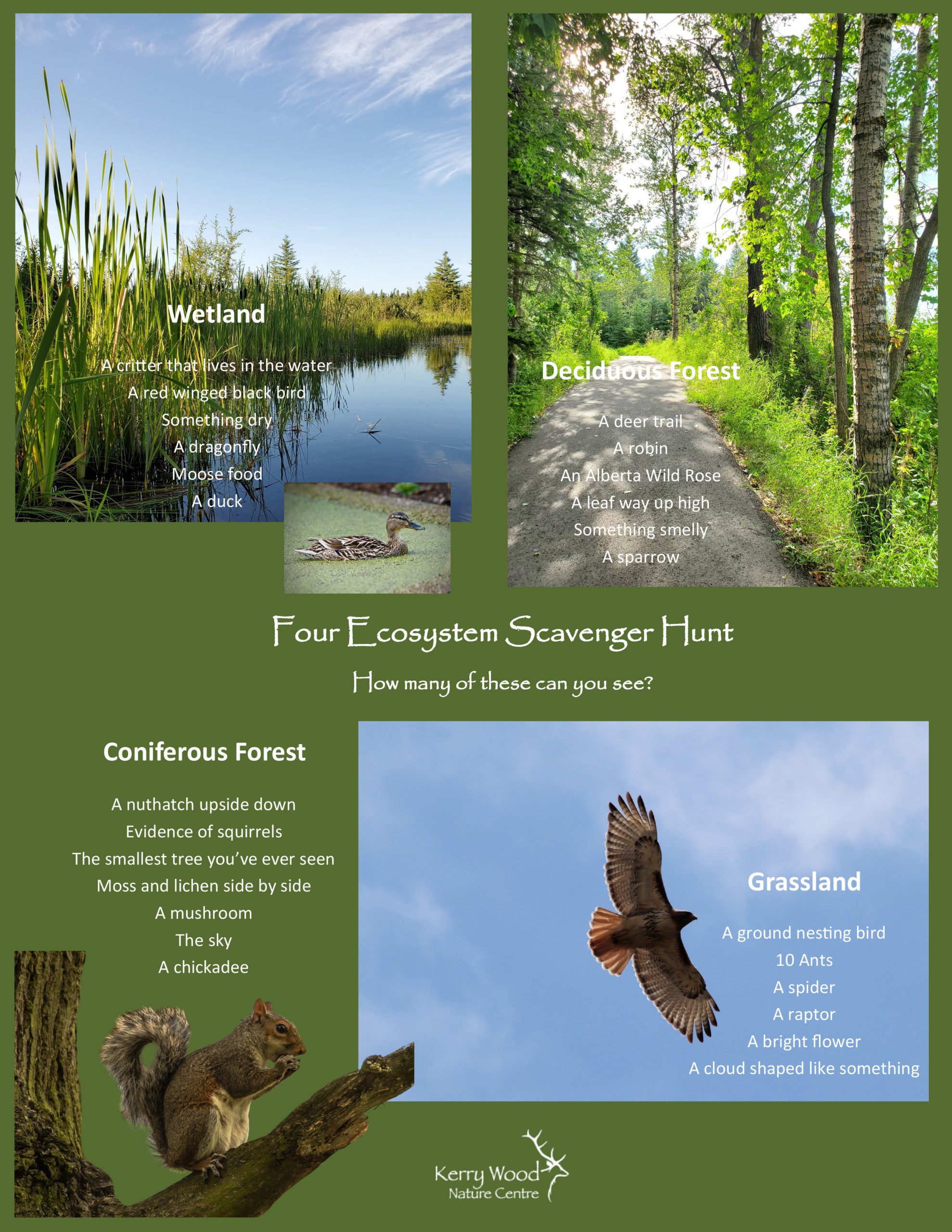 Insider Info on the Kerry Wood Nature Centre & Gaetz Lakes Sanctuary