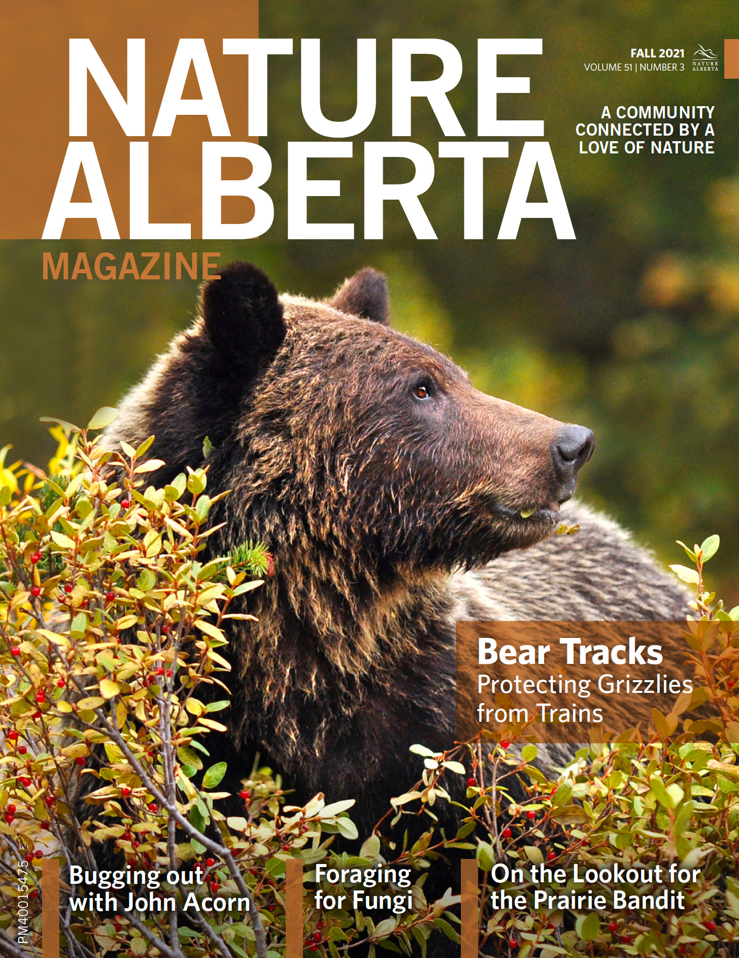 Cover of Fall 2021 Nature Alberta Magazine