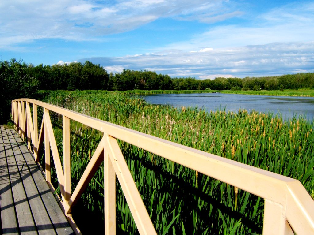 Grebe Pond bridge in Miquelon Lake Provincial Park