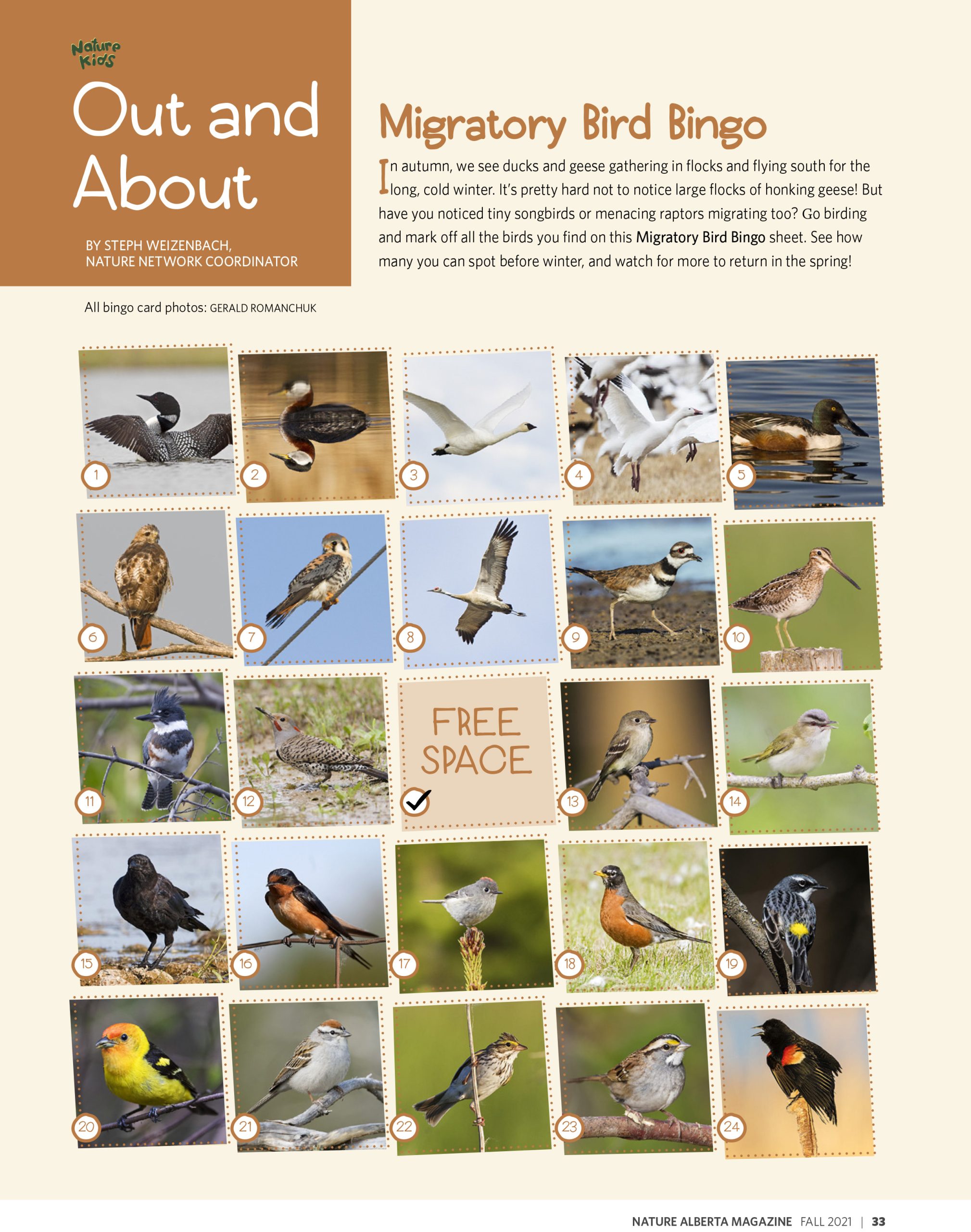 Migratory Bird Bingo - Nature Alberta