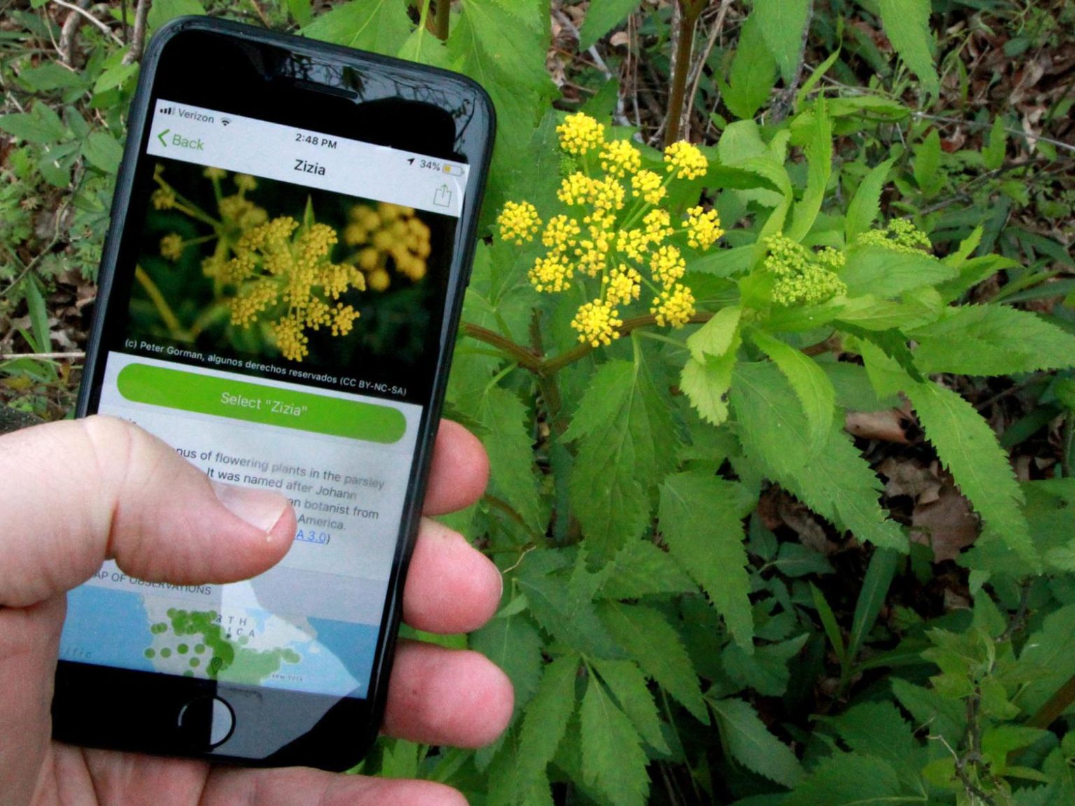 Exploring the Science Behind Citizen Science - Nature Alberta