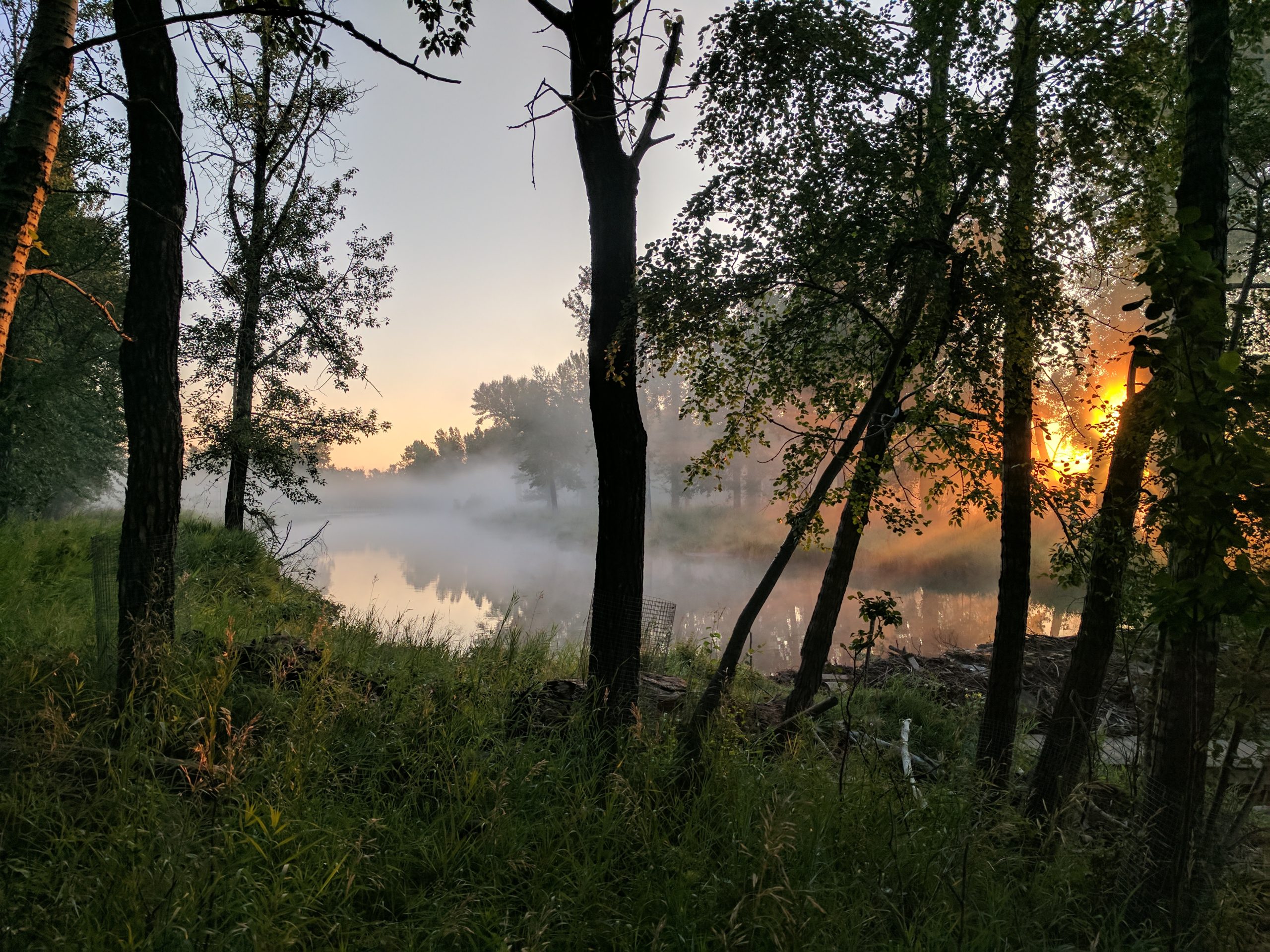 RDRN Speaker of the Month - Nature Alberta