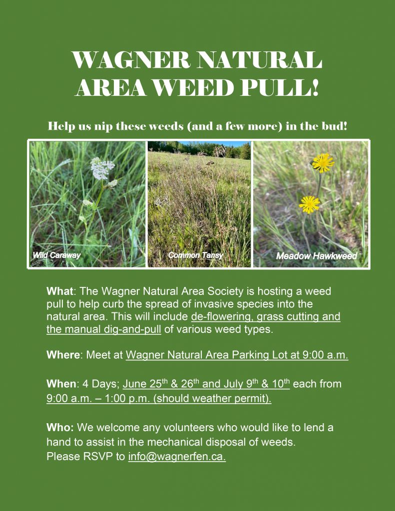 Wagner Natural Area Weed Pull - Nature Alberta