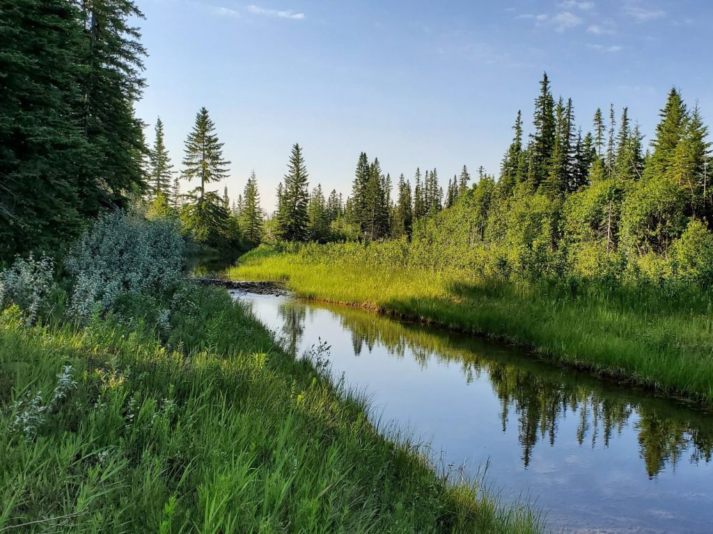 River Basin  Red Deer River Naturalists