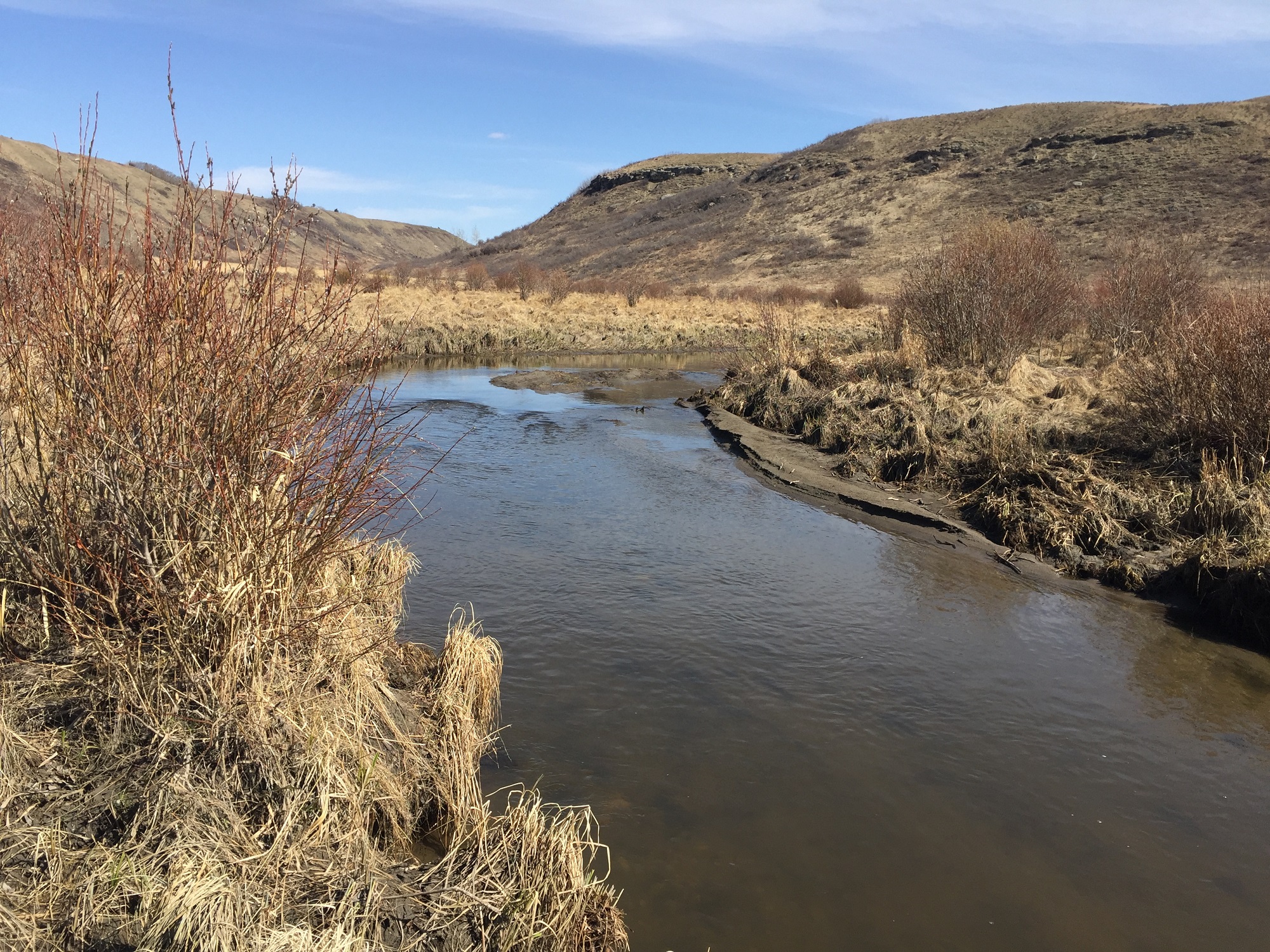 Bighill Creek Springs Presentation & AGM - Nature Alberta