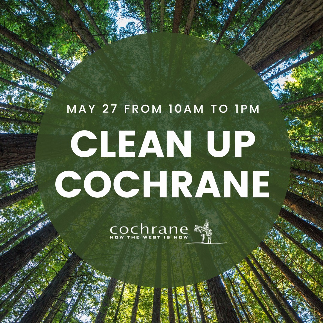 let-s-clean-up-cochrane-nature-alberta