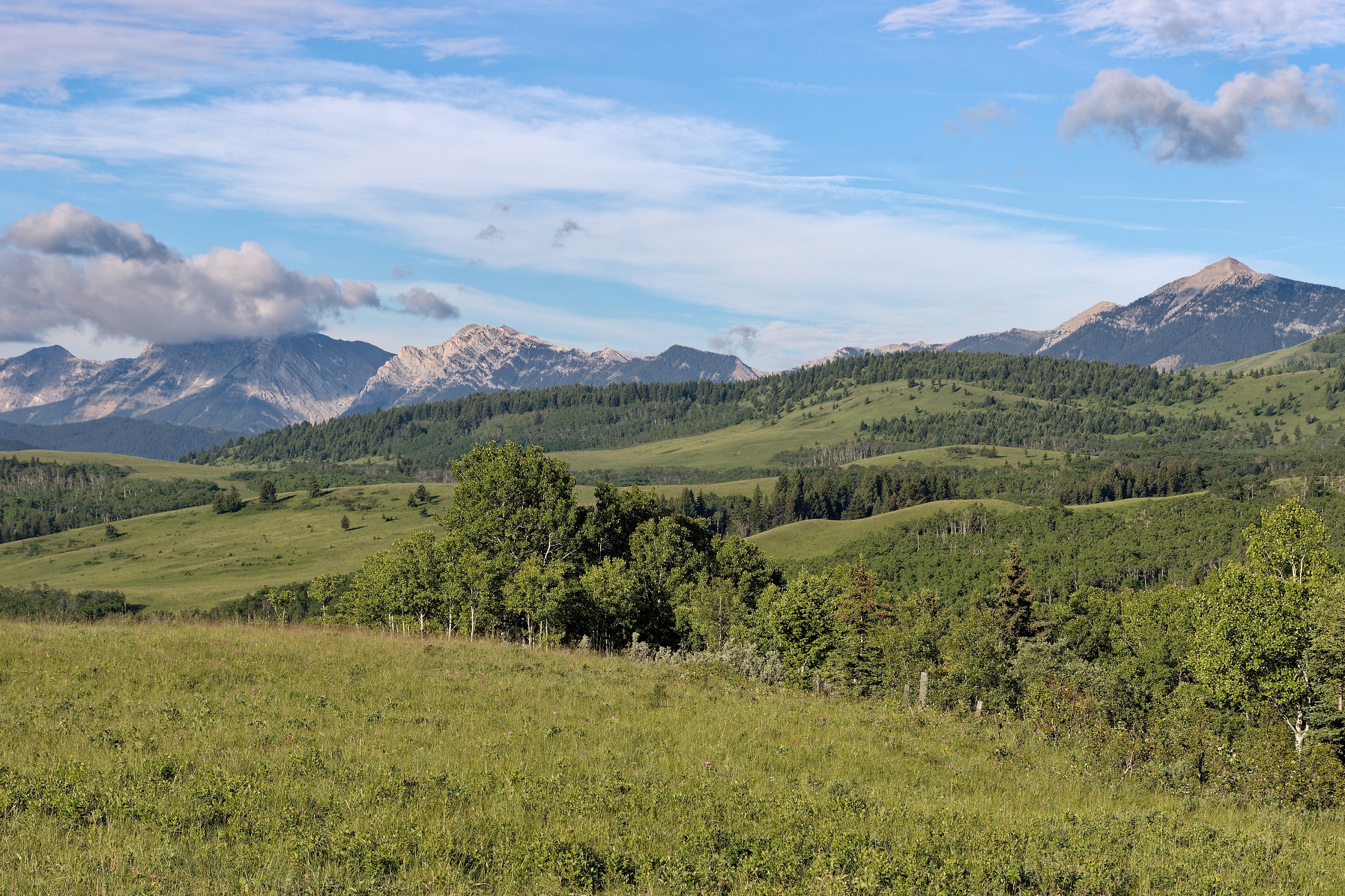 Benefits of Nature — Edmonton & Area Land Trust