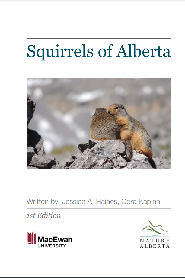 Squirrel ID cover