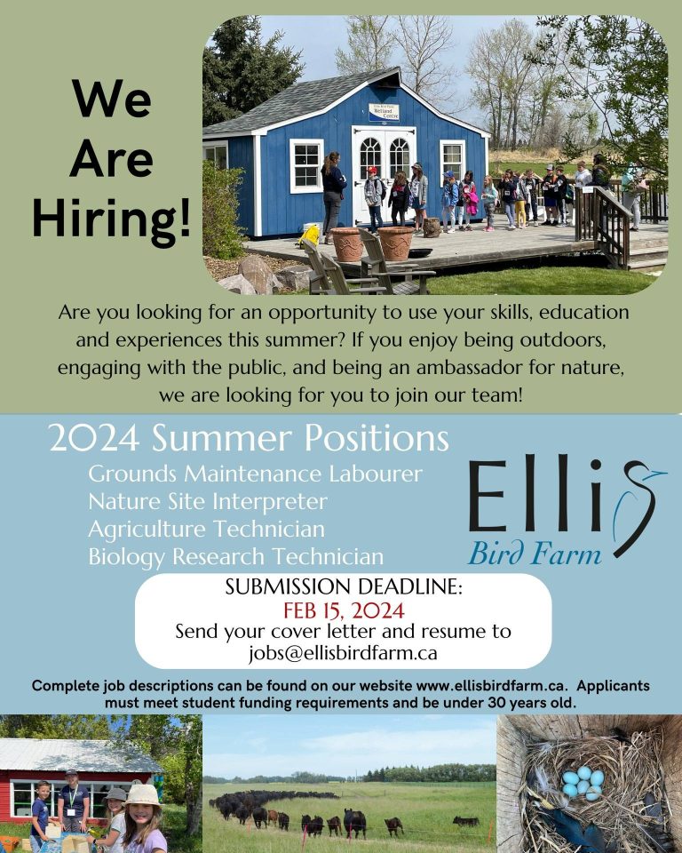 2024 Summer Positions Nature Alberta   419442017 755622879946295 2739147191475717483 N 768x960 