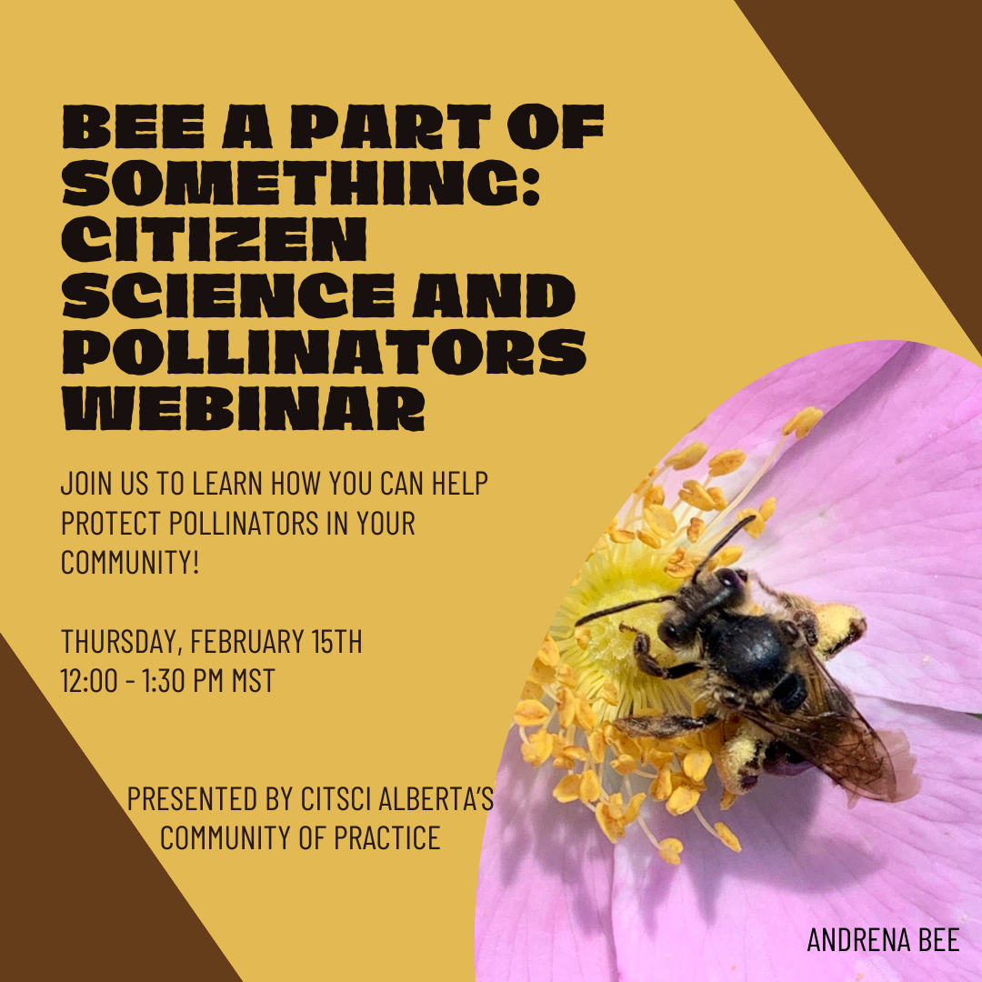 Citizen Science and Pollinators Nature Alberta