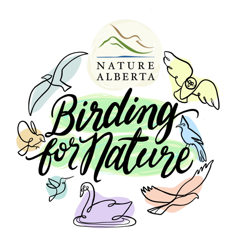 Birding for Nature
