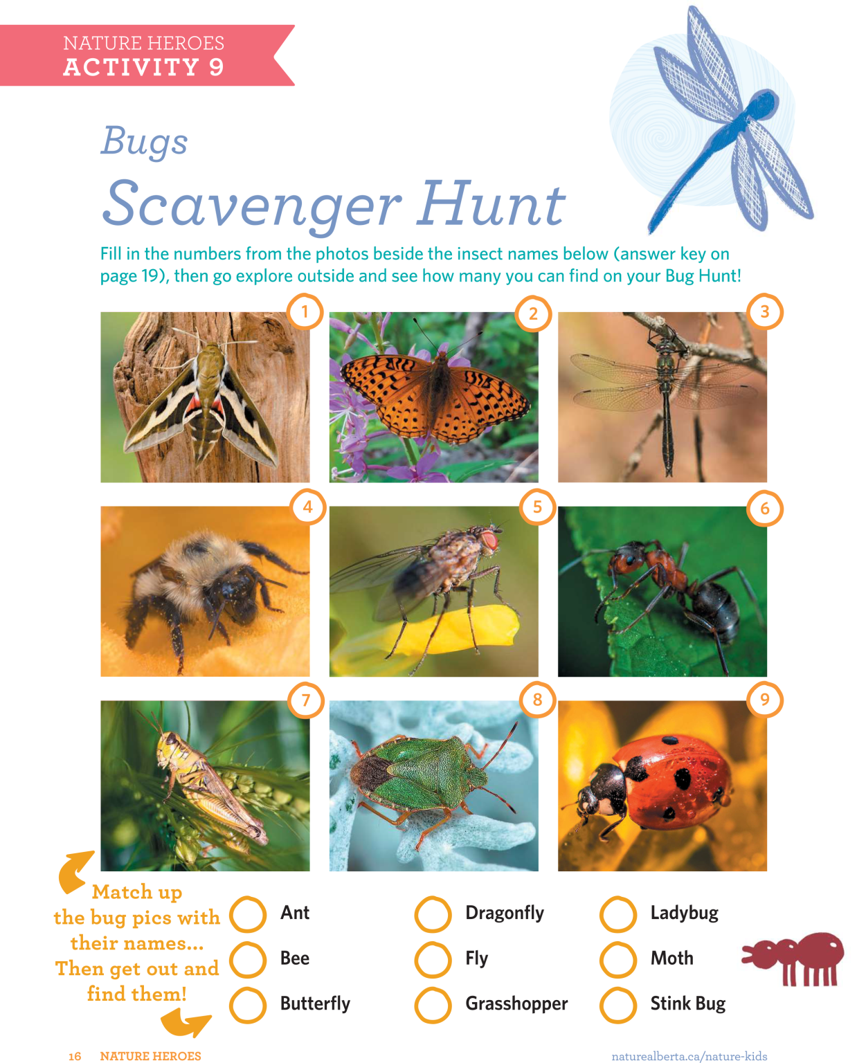 Scavenger Hunt - Nature Alberta