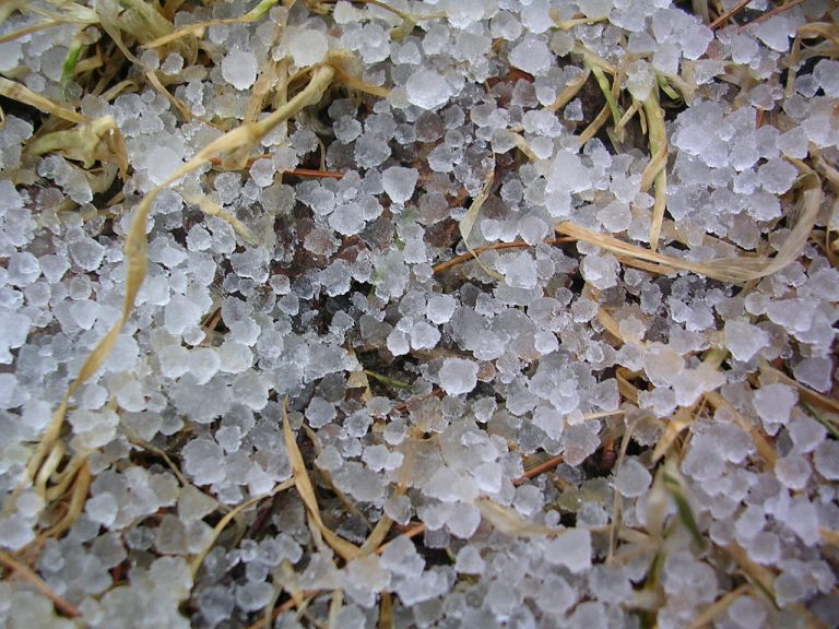 What is the biggest recorded size of hail that’s ever fallen in Alberta ...