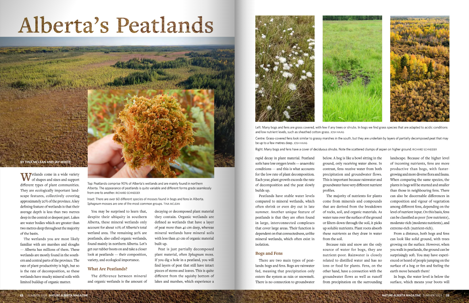 Alberta's Peatlands Article