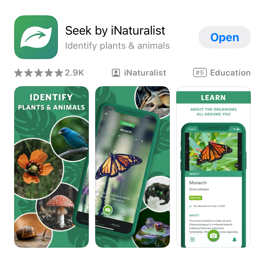 Seek by iNaturalist is an excellent interactive app that can be used to identify plants and animals while earning achievement badges.