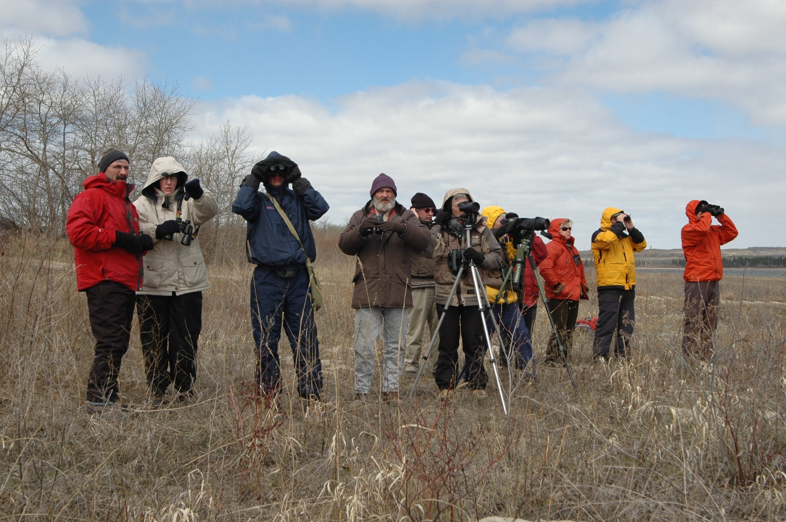 The Vermilion River Nature Club. IRIS DAVIES