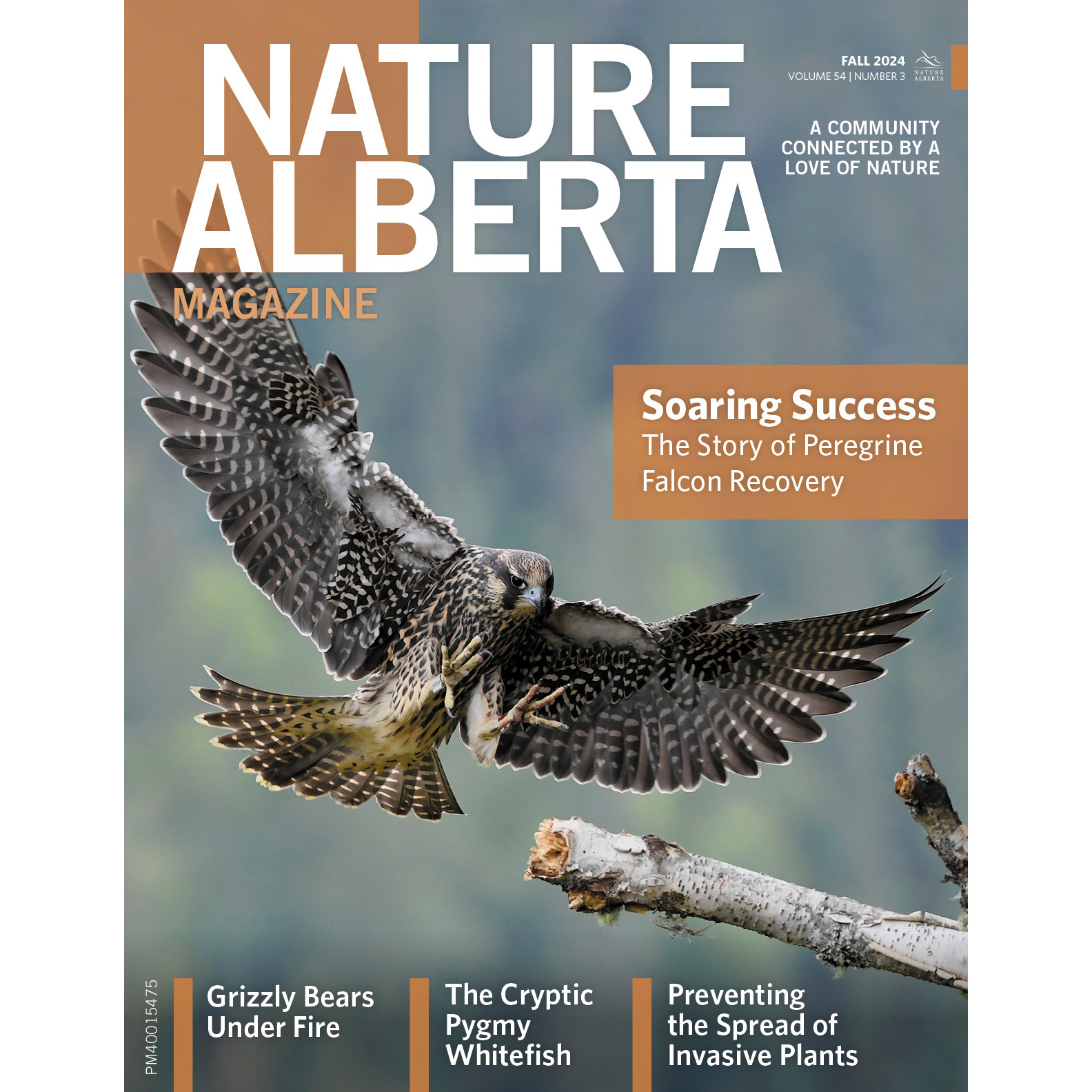 Nature Alberta Magazine – Print Version Annual Subscription - Nature ...