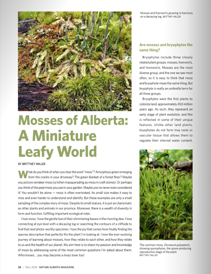 AB Mosses