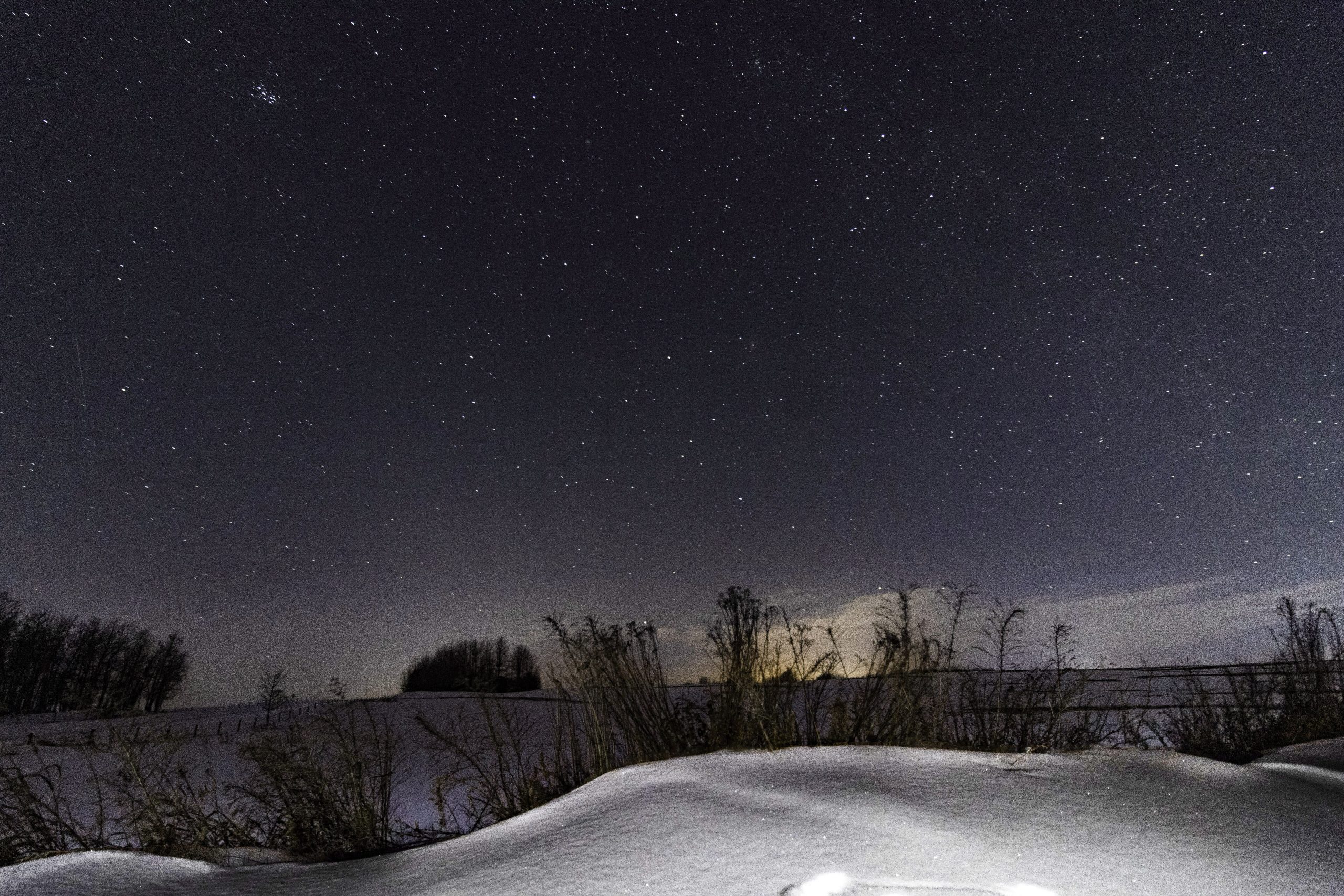 Alberta night sky THERESA MUTH