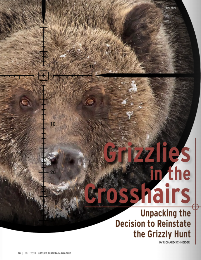 Grizzlies in Crosshairs