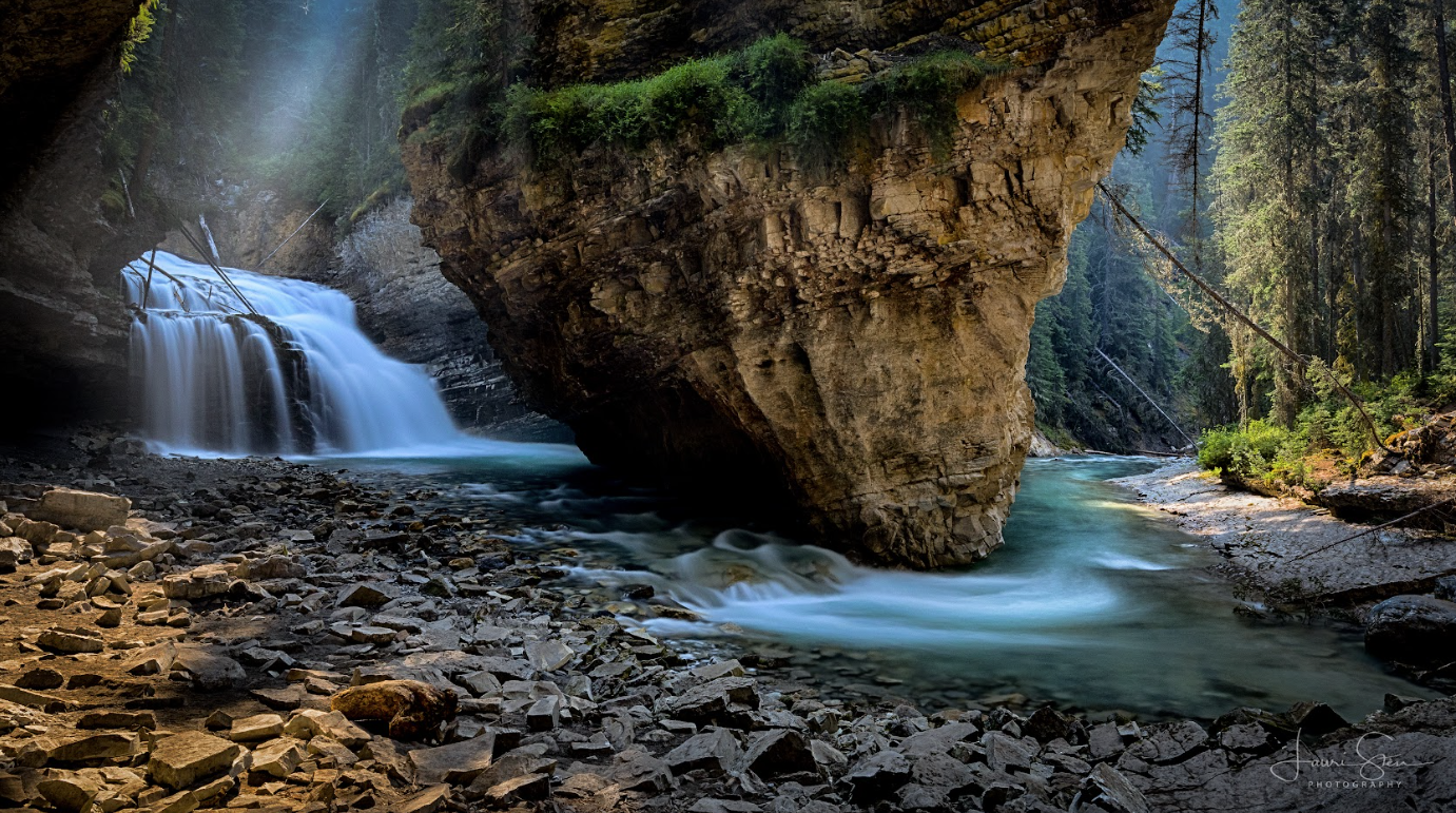 Besides its spectacular scenery, Johnston Canyon is also an important nesting location for black swifts. LAURI STEN