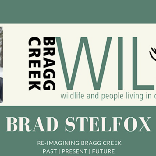 Bragg Creek Wild Past Present Future