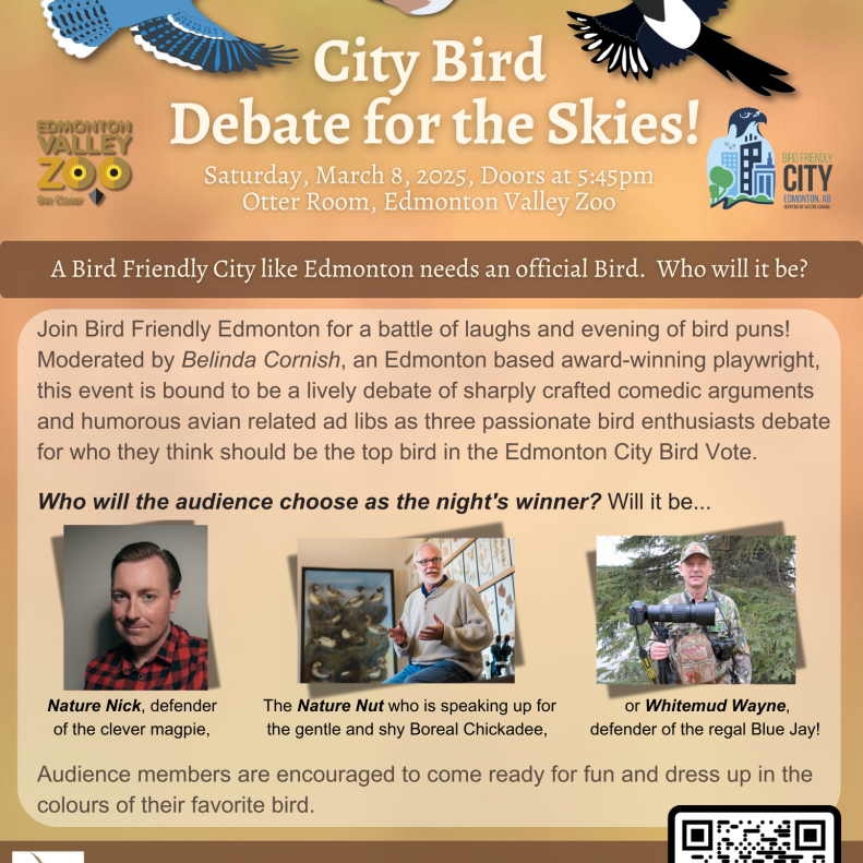 City Bird Debate_March8png (1)