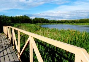 Grebe Pond bridge in Miquelon Lake Provincial Park