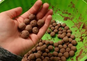 Handful of seed bombs (Photo NCC)