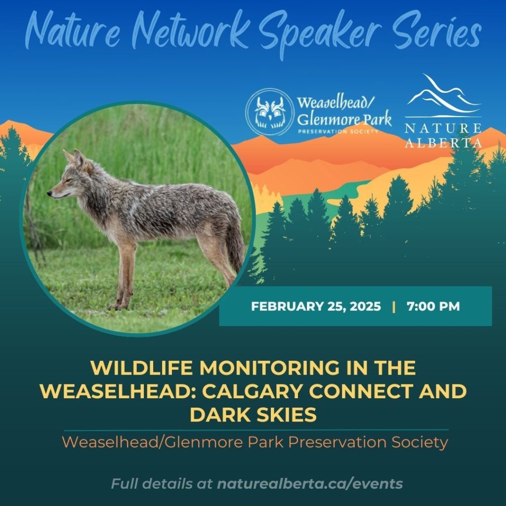 NNSS Weaselhead